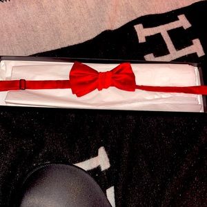 Alexander McQueen Men’s bow tie